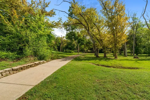 a view of a yard with a trees