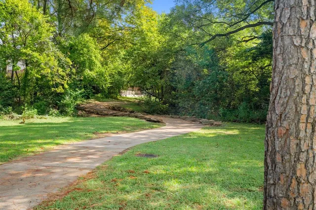 a view of a park with large trees