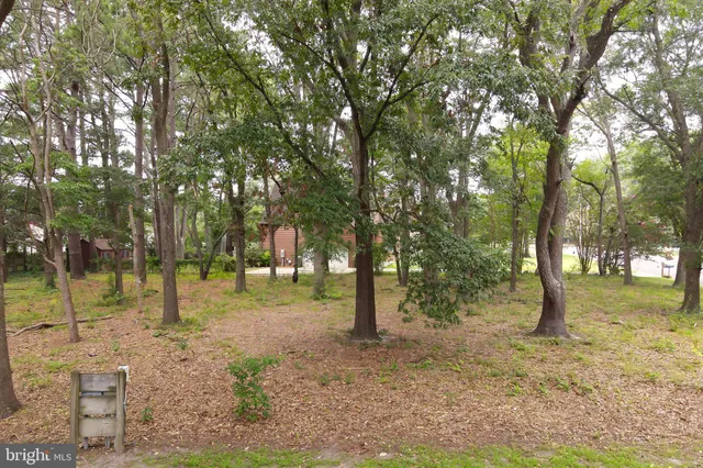 a view of outdoor space with trees