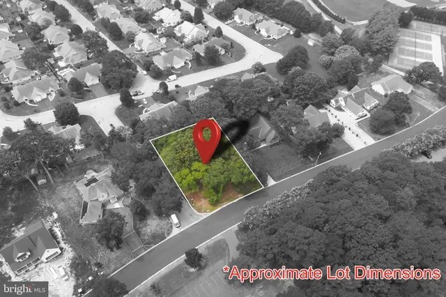 a picture of a tree in front of a house