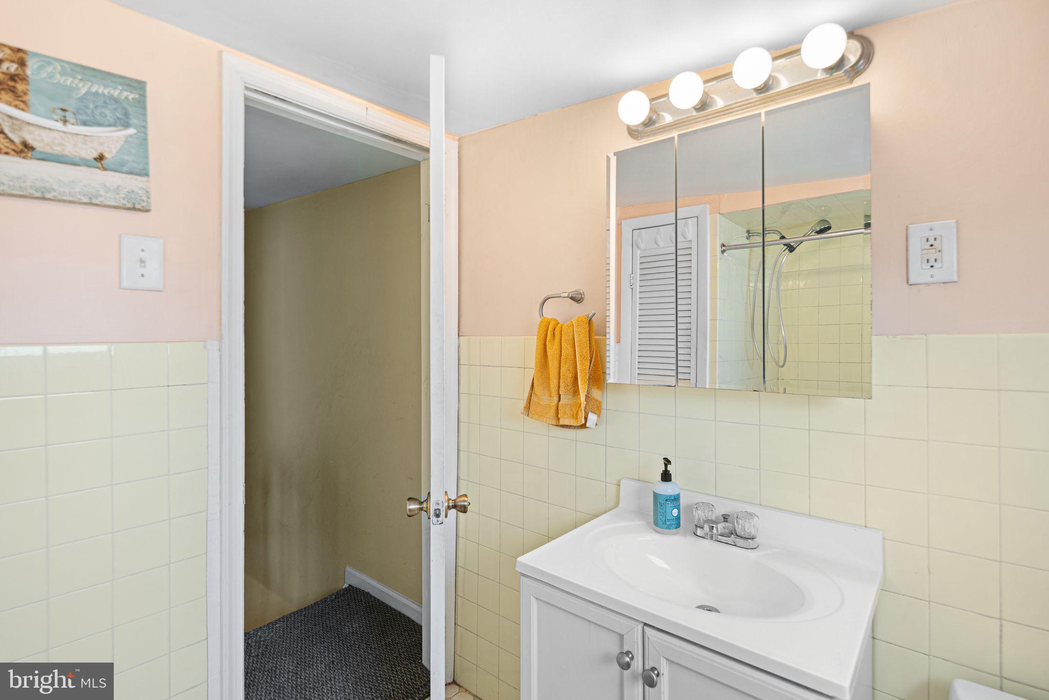 1925 South Alder Street Philadelphia, PA 19148 - Photo 8 of 13 a bathroom with a sink vanity and mirror