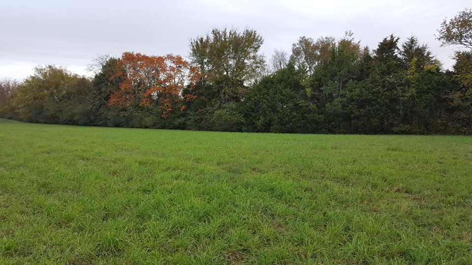 1 Kingdom Road Unionville, TN 37180 - Photo 1 of 7 Gallery Image 1