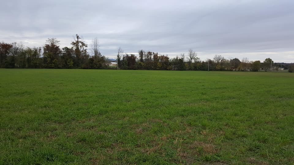 1 Kingdom Road Unionville, TN 37180 - Photo 2 of 7 Gallery Image 2