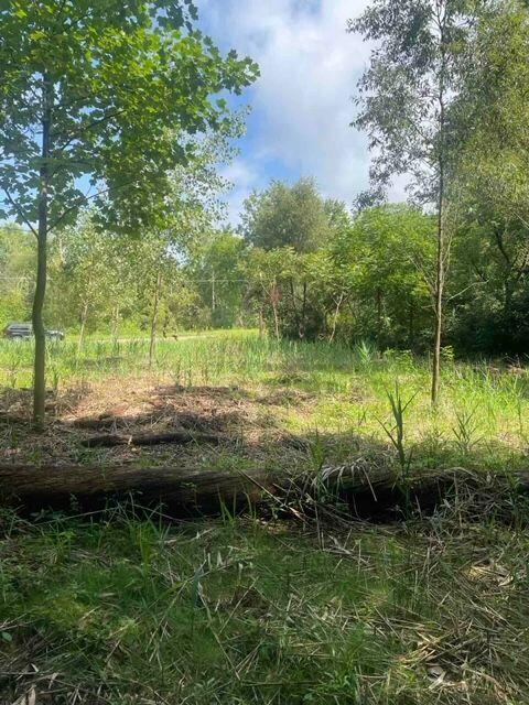 3080 Pershing Drive Coloma, MI 49038 - Photo 2 of 3 3080 Pershing 1