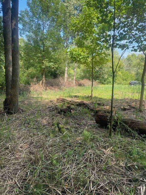 3080 Pershing Drive Coloma, MI 49038 - Photo 3 of 3 3080 Pershing 3