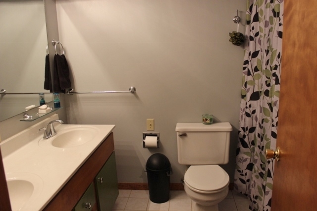 374 East Hoffman Road St. Louis, MI 48880 - Photo 44 of 72 1831450-43.JPG