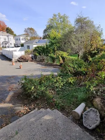 a view of a street with some trees