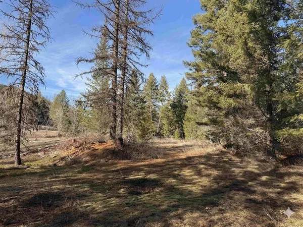 $85,000 | 3832 Deep Lake Boundary Road, Colville, WA 99114