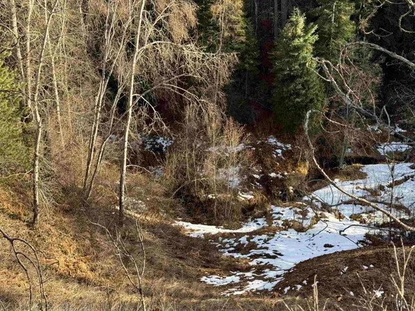 $85,000 | 3832 Deep Lake Boundary Road, Colville, WA 99114