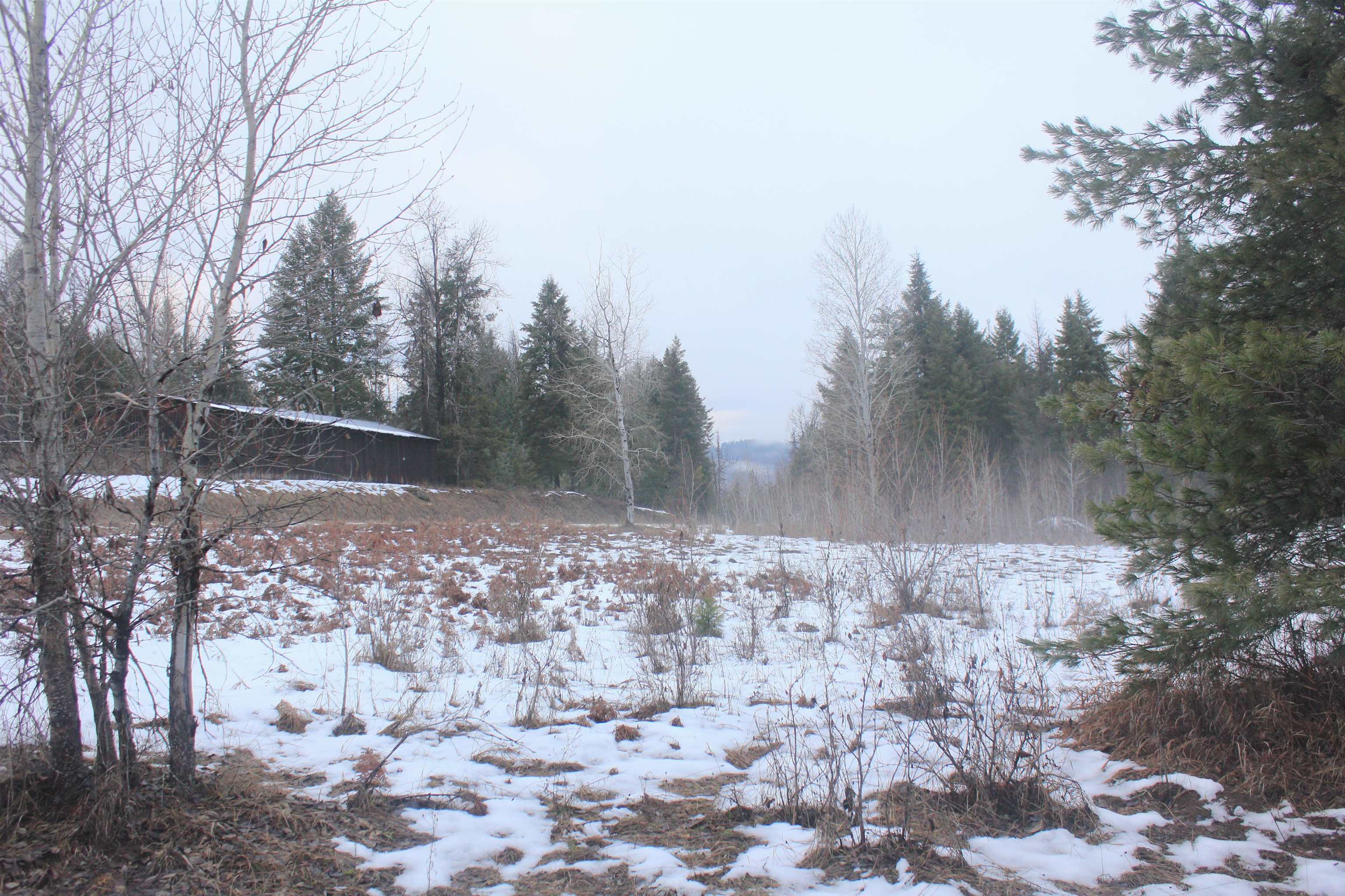 3832 Deep Lake Boundary Road Colville, WA 99114 - Photo 15 of 24