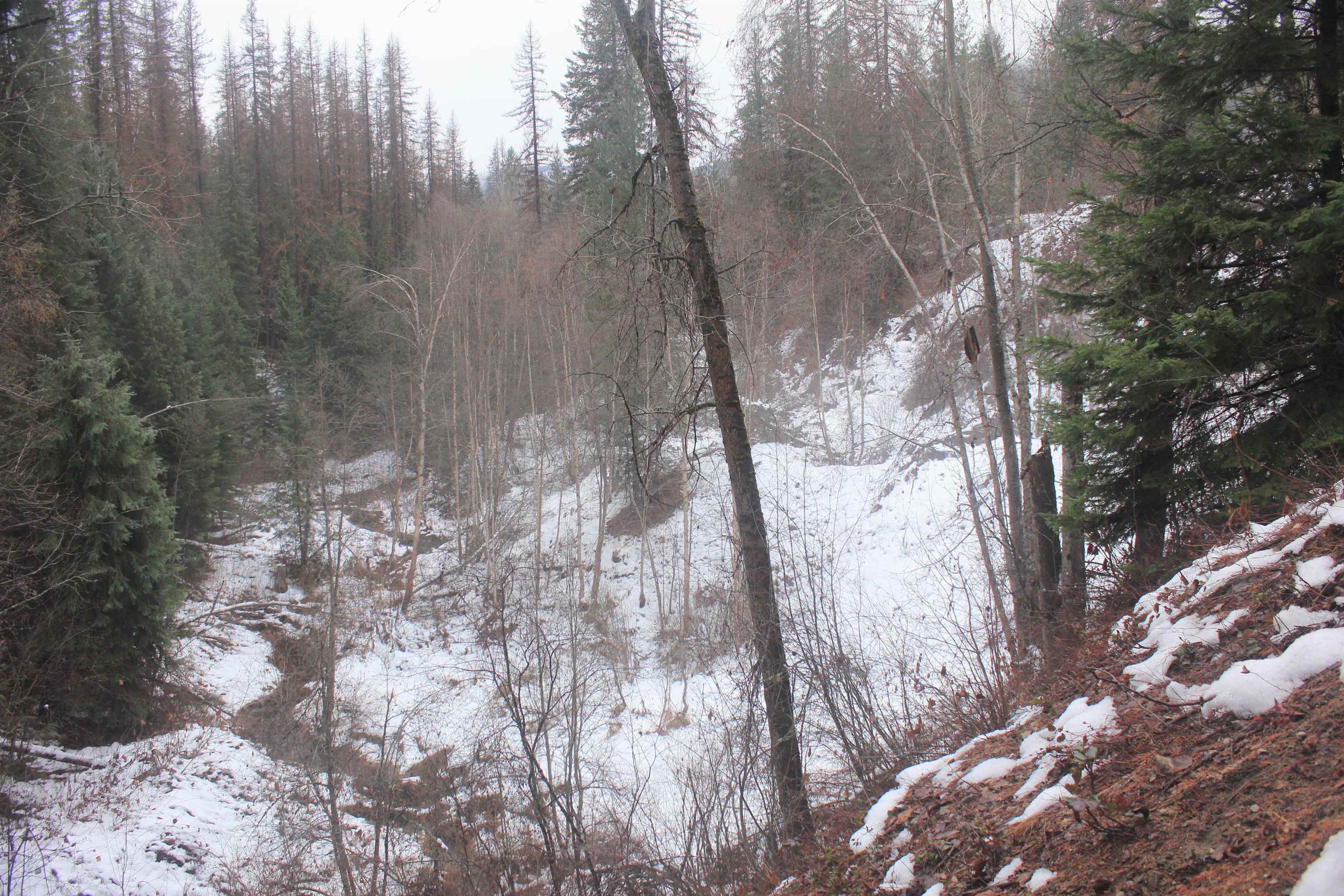 3832 Deep Lake Boundary Road Colville, WA 99114 - Photo 18 of 24