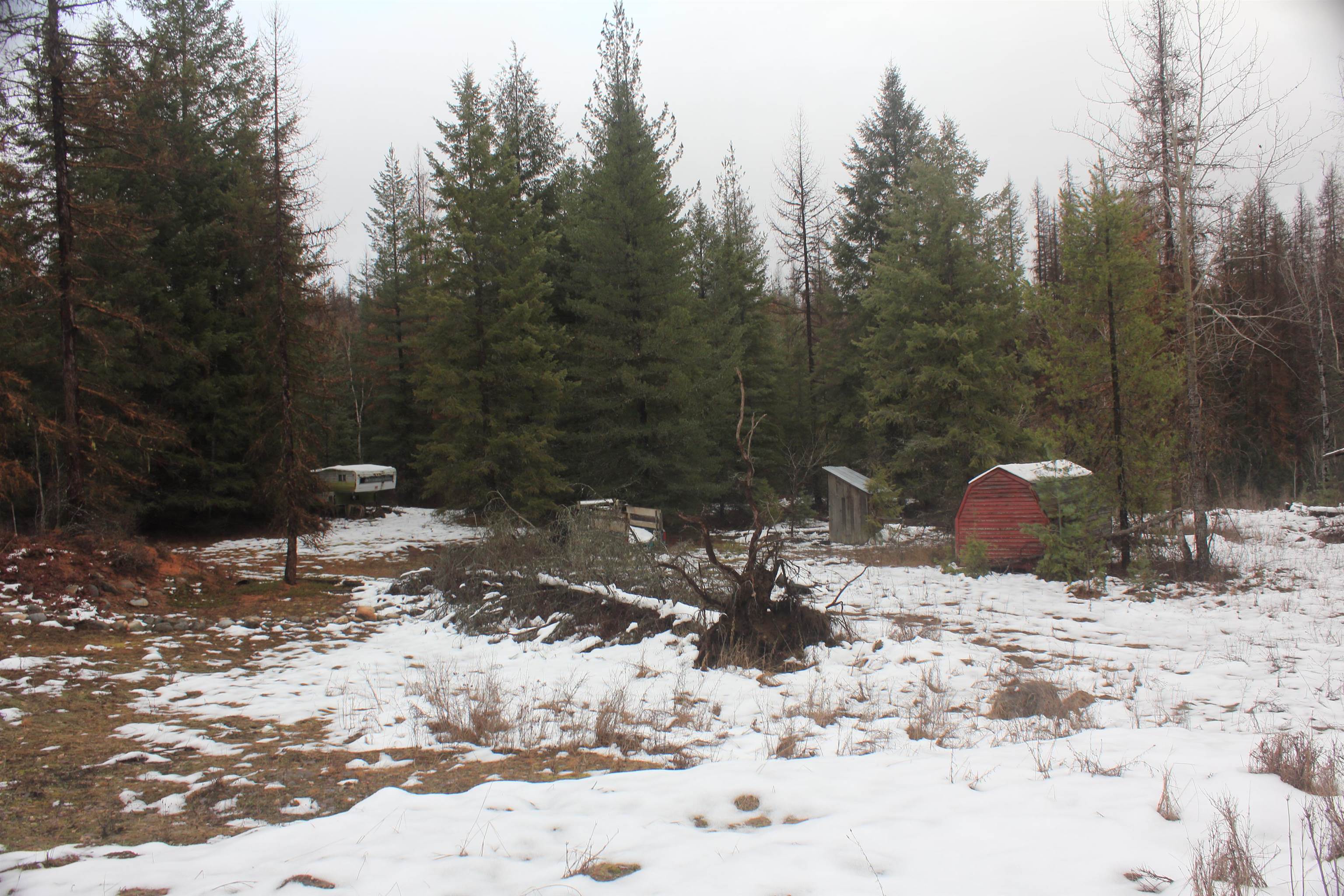 3832 Deep Lake Boundary Road Colville, WA 99114 - Photo 4 of 24