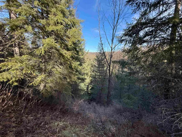 $85,000 | 3832 Deep Lake Boundary Road, Colville, WA 99114