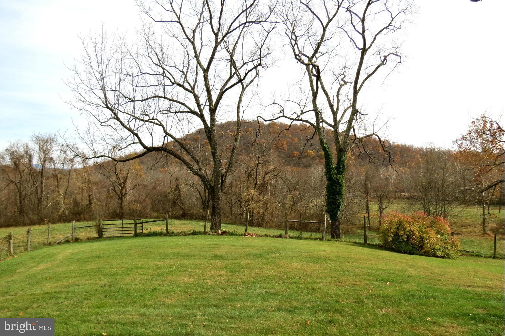 324 Riley Hollow Road Huntly, VA 22640 - Photo 16 of 24 View directly in front of the house