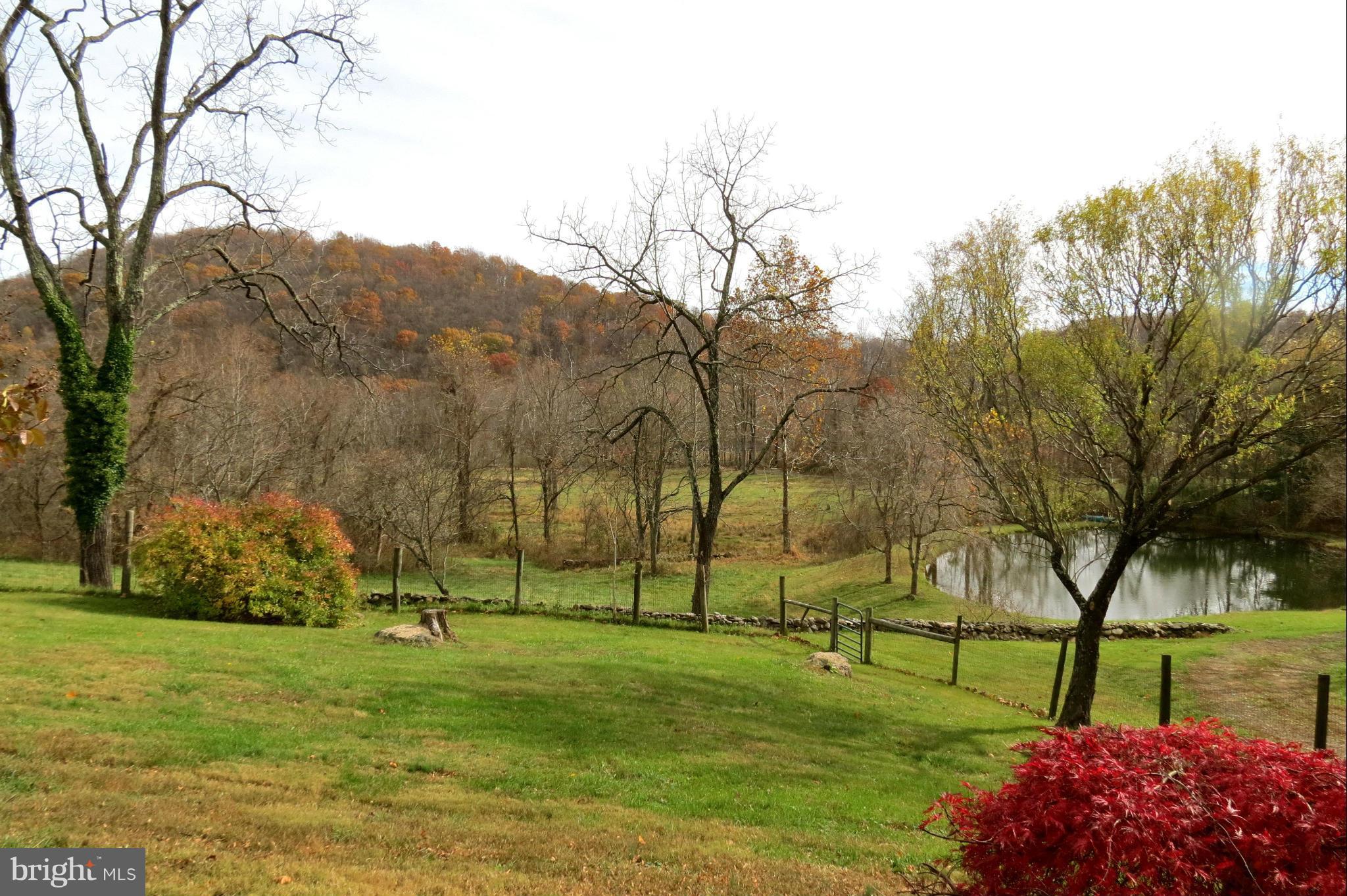 324 Riley Hollow Road Huntly, VA 22640 - Photo 17 of 24 View from the front porch