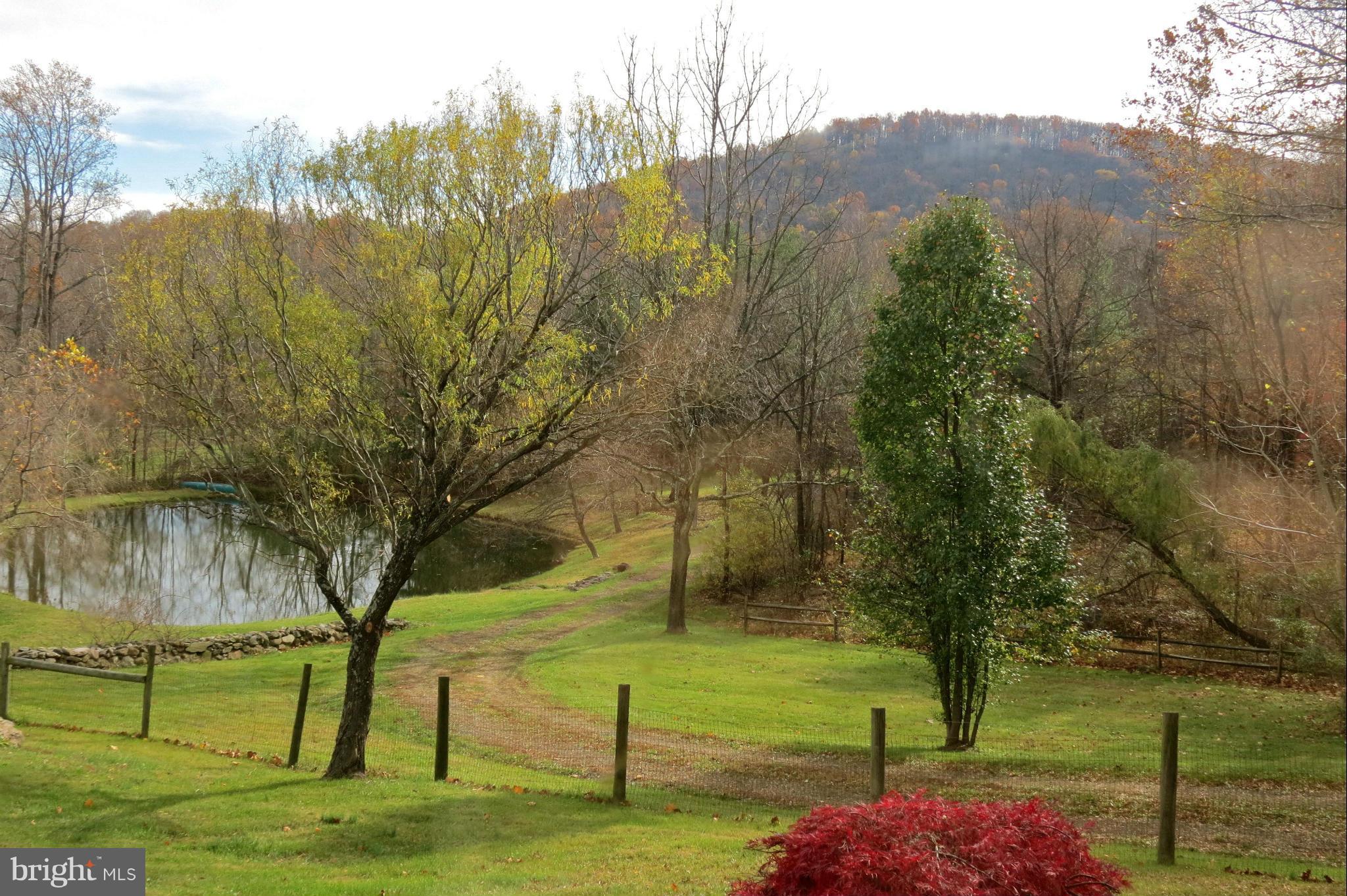 324 Riley Hollow Road Huntly, VA 22640 - Photo 18 of 24 View from the kitchen window