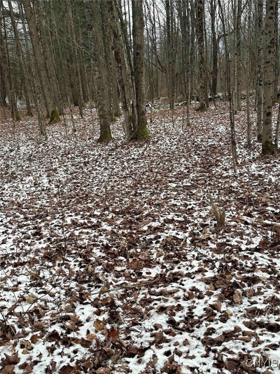 150 Cafferty Hill Road Endicott, NY 13760 - Photo 11 of 42