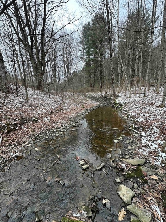 150 Cafferty Hill Road Endicott, NY 13760 - Photo 12 of 42