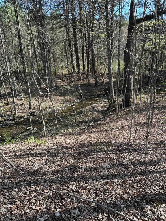 150 Cafferty Hill Road Endicott, NY 13760 - Photo 13 of 42