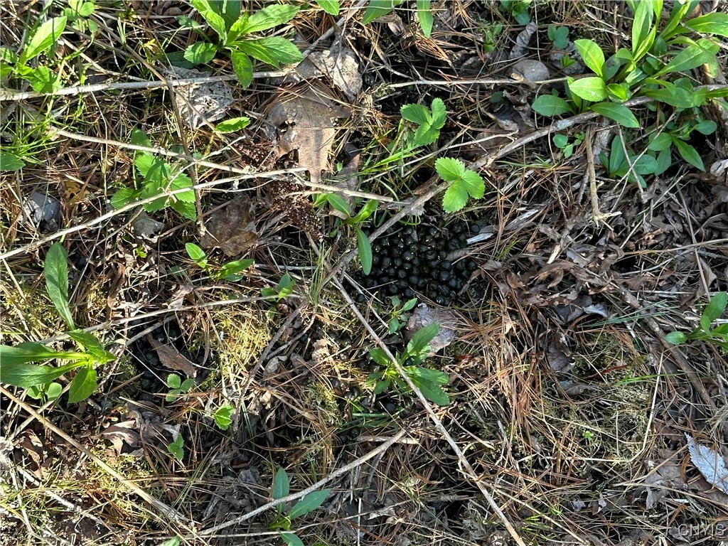 150 Cafferty Hill Road Endicott, NY 13760 - Photo 15 of 42