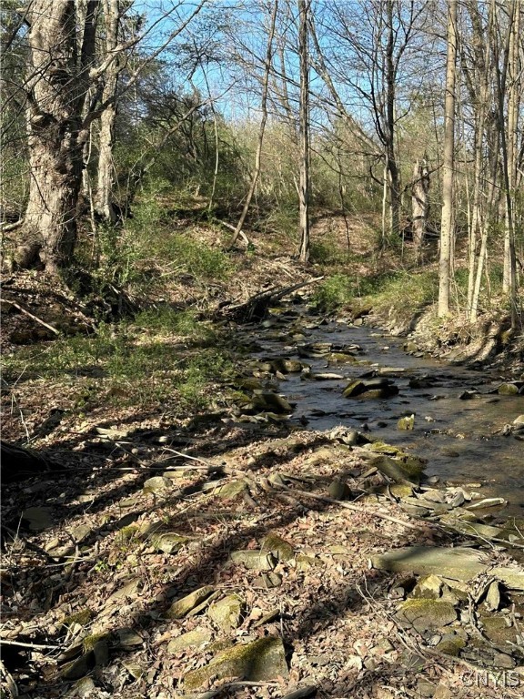 150 Cafferty Hill Road Endicott, NY 13760 - Photo 16 of 42