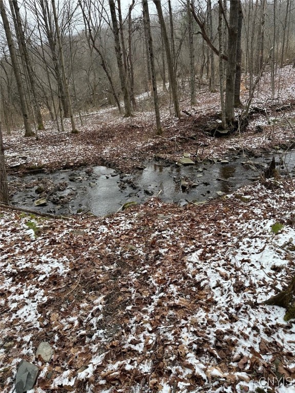 150 Cafferty Hill Road Endicott, NY 13760 - Photo 2 of 42