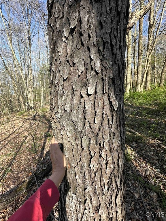 150 Cafferty Hill Road Endicott, NY 13760 - Photo 22 of 42