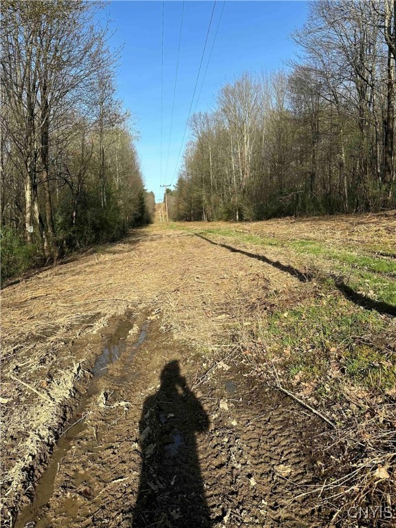 150 Cafferty Hill Road Endicott, NY 13760 - Photo 23 of 42