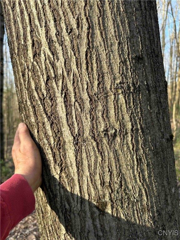 150 Cafferty Hill Road Endicott, NY 13760 - Photo 26 of 42