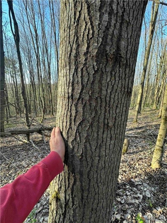 150 Cafferty Hill Road Endicott, NY 13760 - Photo 28 of 42