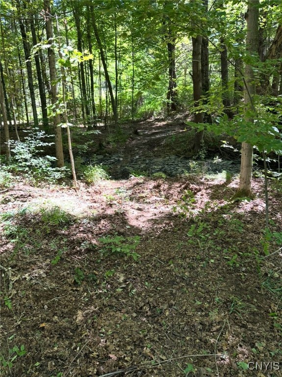 150 Cafferty Hill Road Endicott, NY 13760 - Photo 29 of 42