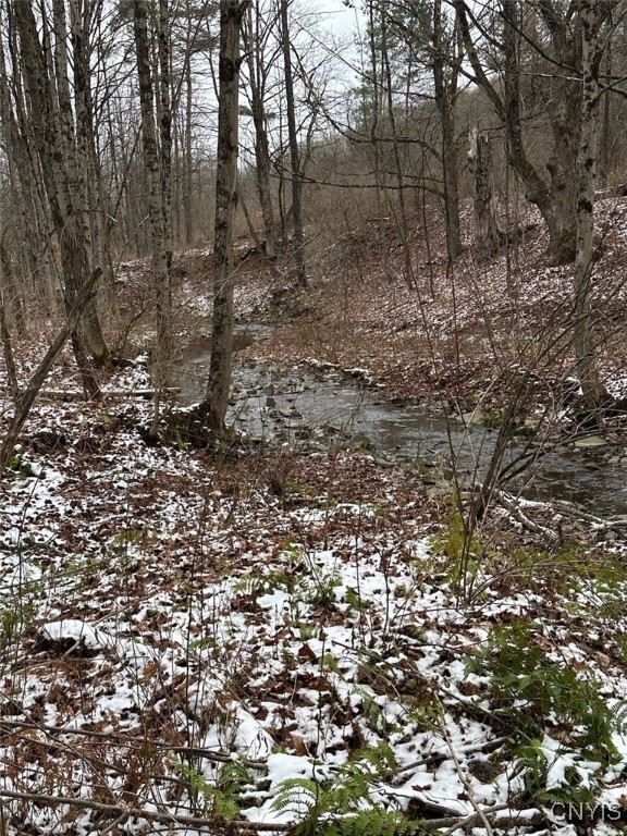 150 Cafferty Hill Road Endicott, NY 13760 - Photo 3 of 42