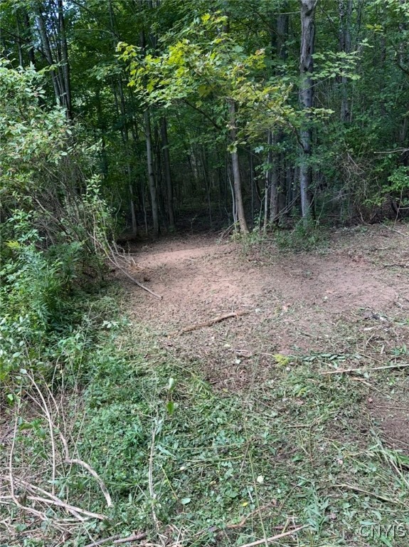 150 Cafferty Hill Road Endicott, NY 13760 - Photo 34 of 42