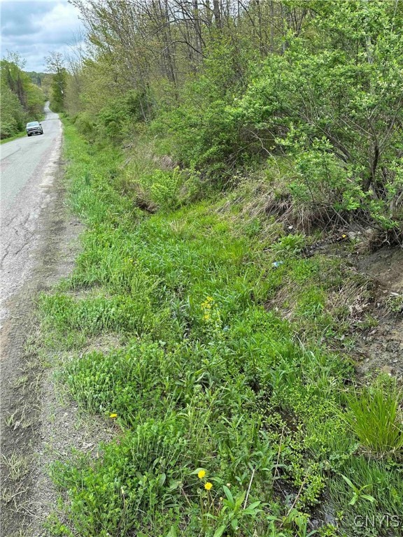 150 Cafferty Hill Road Endicott, NY 13760 - Photo 38 of 42