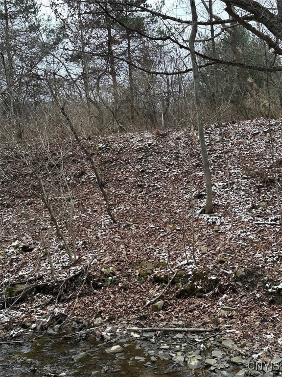 150 Cafferty Hill Road Endicott, NY 13760 - Photo 4 of 42