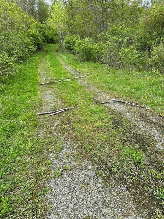 150 Cafferty Hill Road Endicott, NY 13760 - Photo 41 of 42