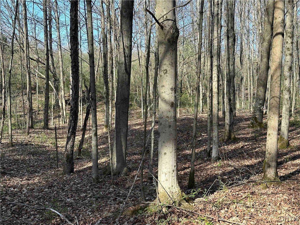 150 Cafferty Hill Road Endicott, NY 13760 - Photo 6 of 42