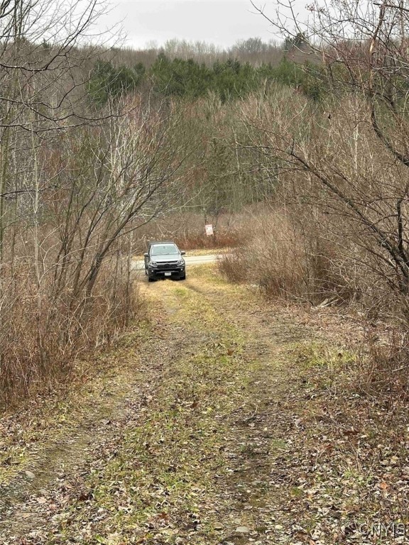 150 Cafferty Hill Road Endicott, NY 13760 - Photo 9 of 42