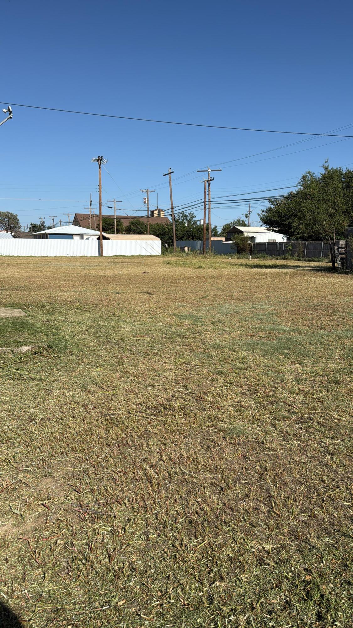 402 10th Street Ralls, TX 79357 - Photo 3 of 5