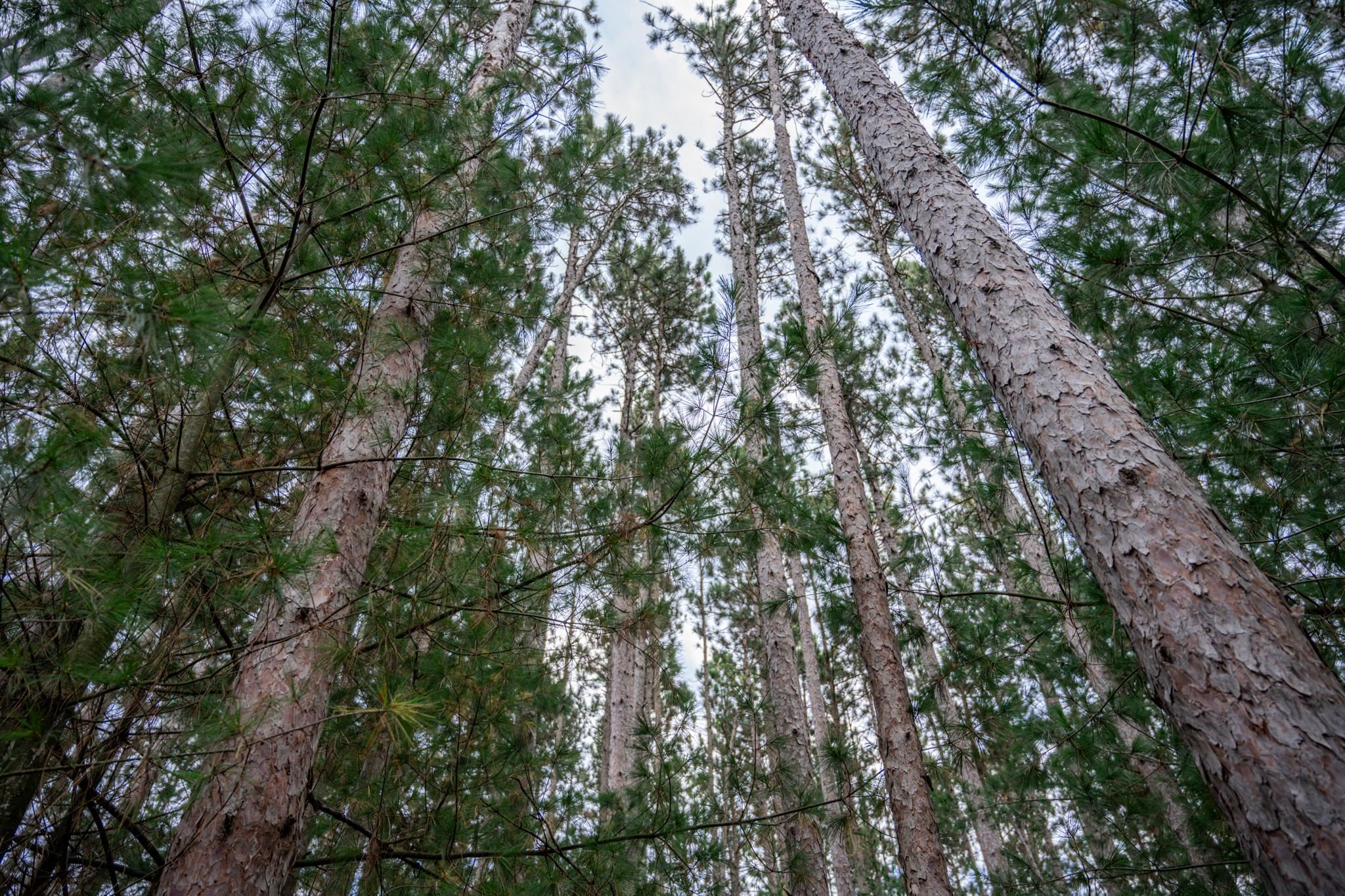 Lot 87 20th Arkdale, WI 54613 - Photo 11 of 25