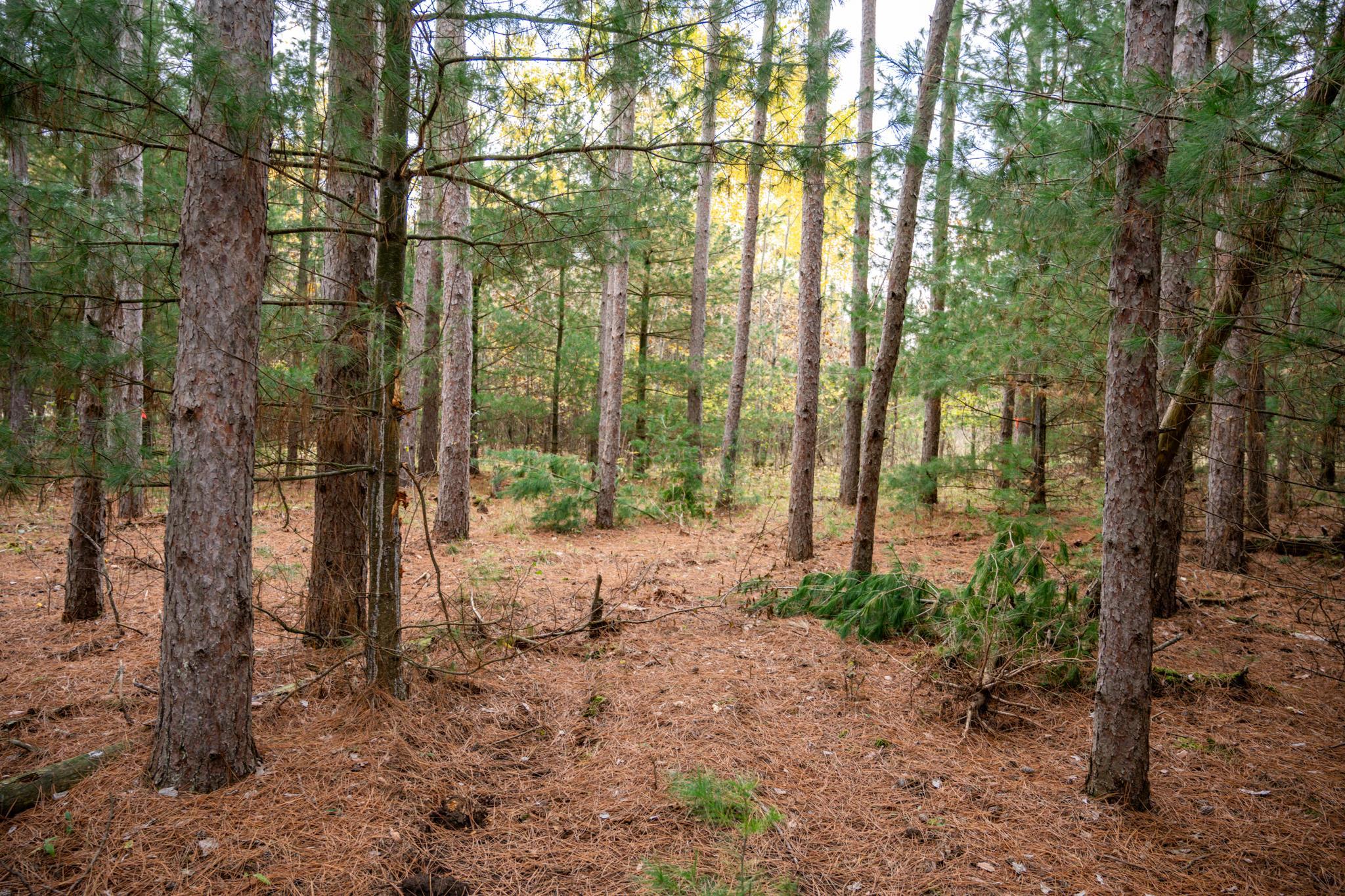 Lot 87 20th Arkdale, WI 54613 - Photo 12 of 25