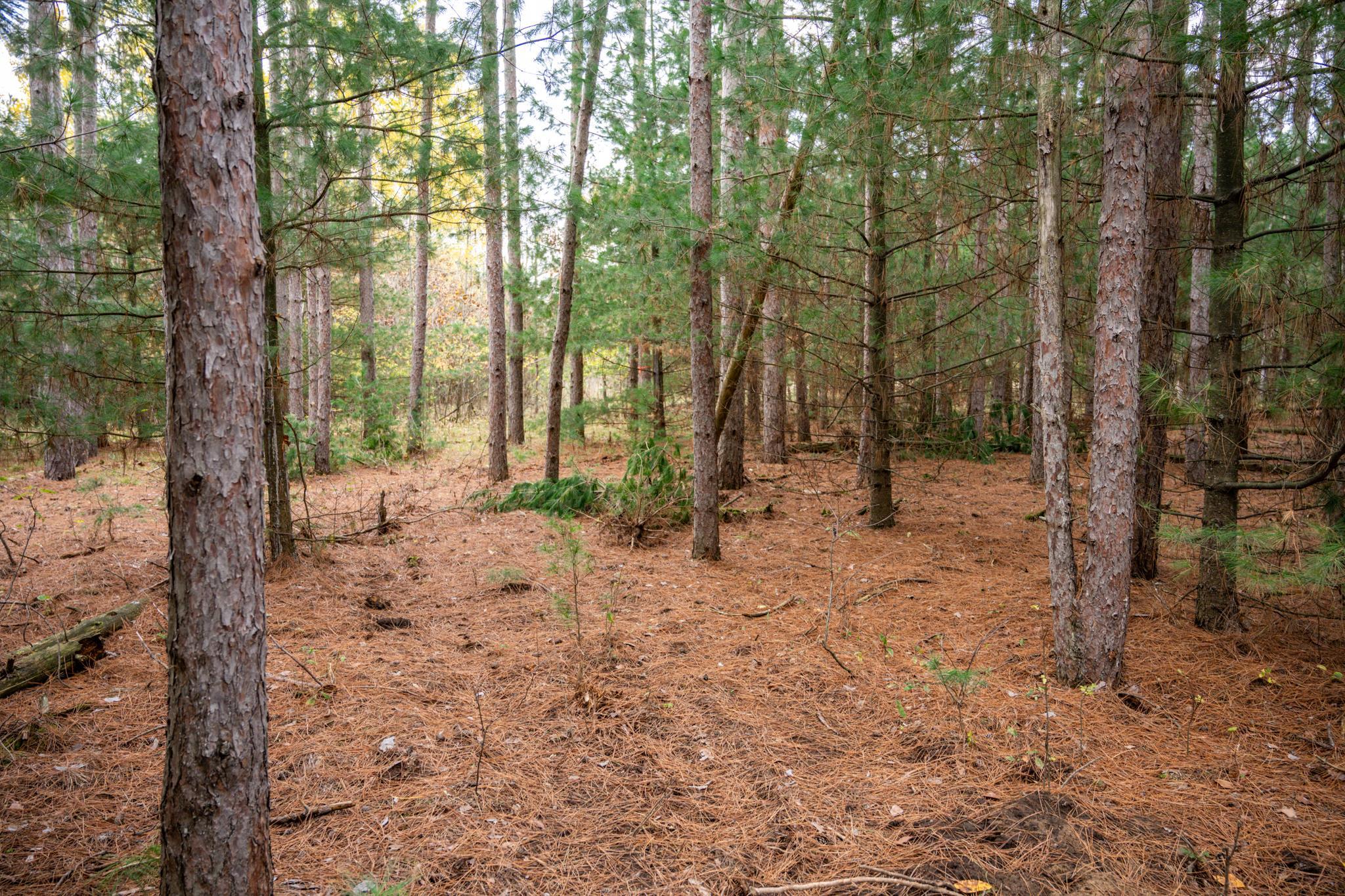 Lot 87 20th Arkdale, WI 54613 - Photo 13 of 25