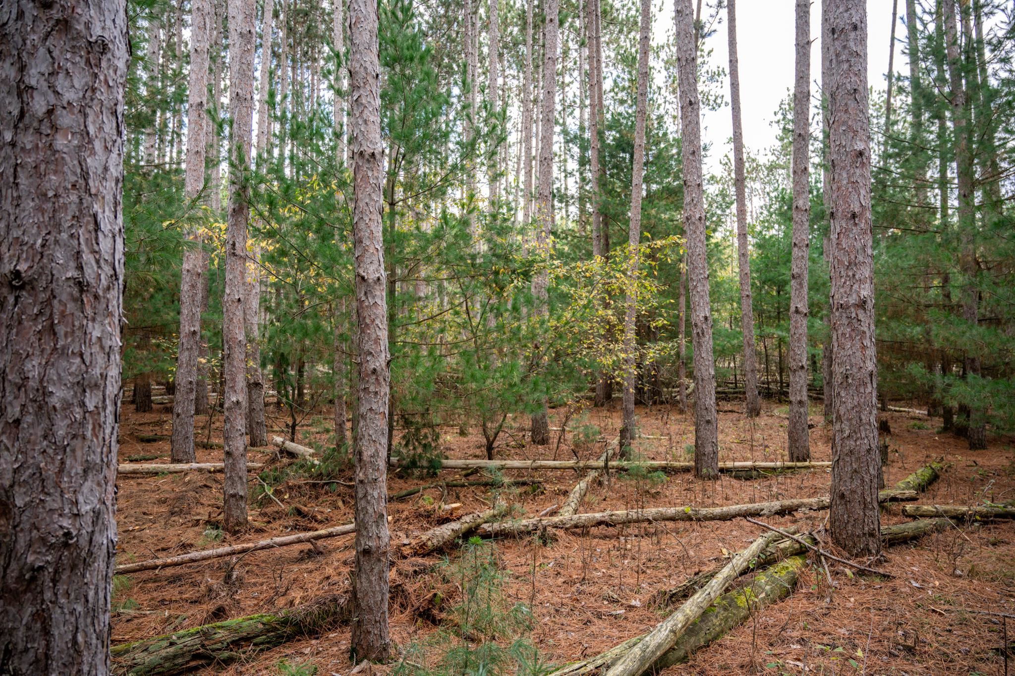 Lot 87 20th Arkdale, WI 54613 - Photo 15 of 25