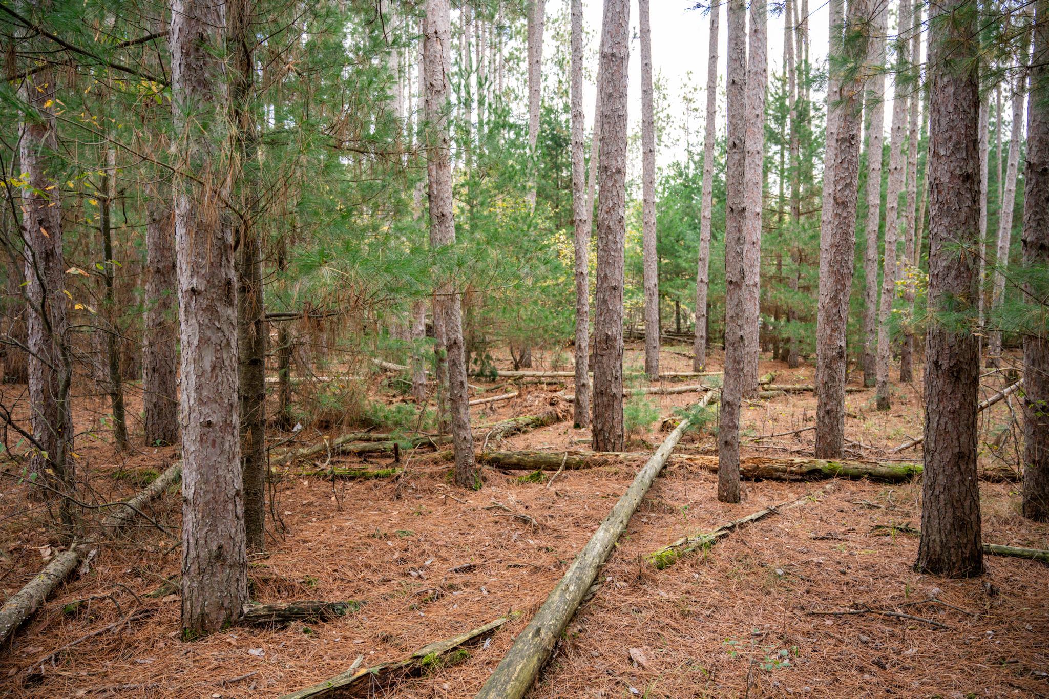 Lot 87 20th Arkdale, WI 54613 - Photo 16 of 25