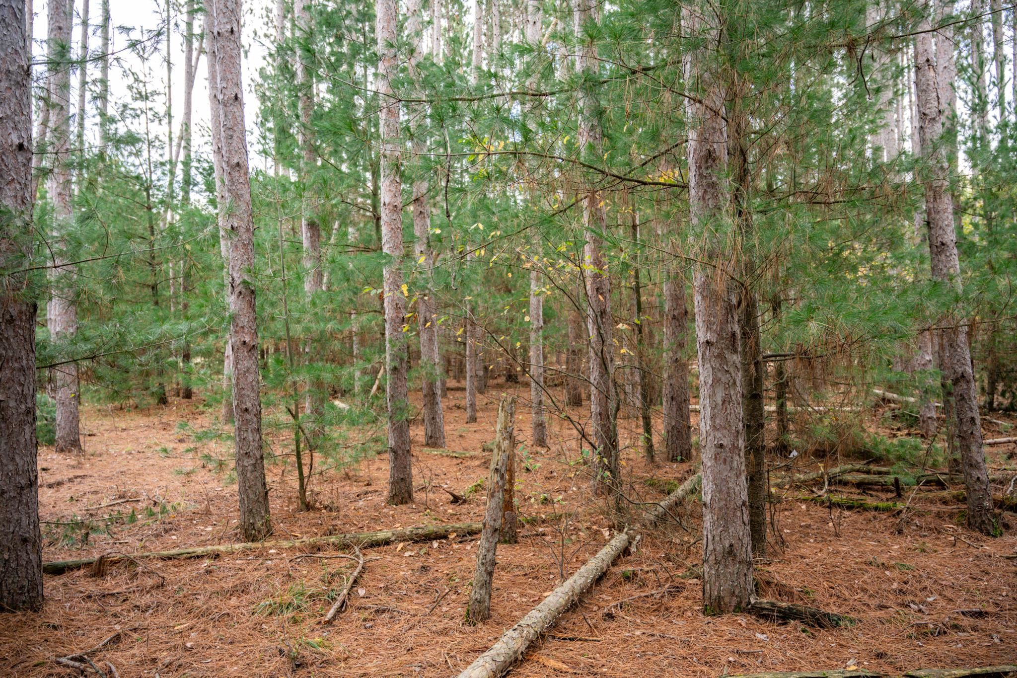 Lot 87 20th Arkdale, WI 54613 - Photo 17 of 25