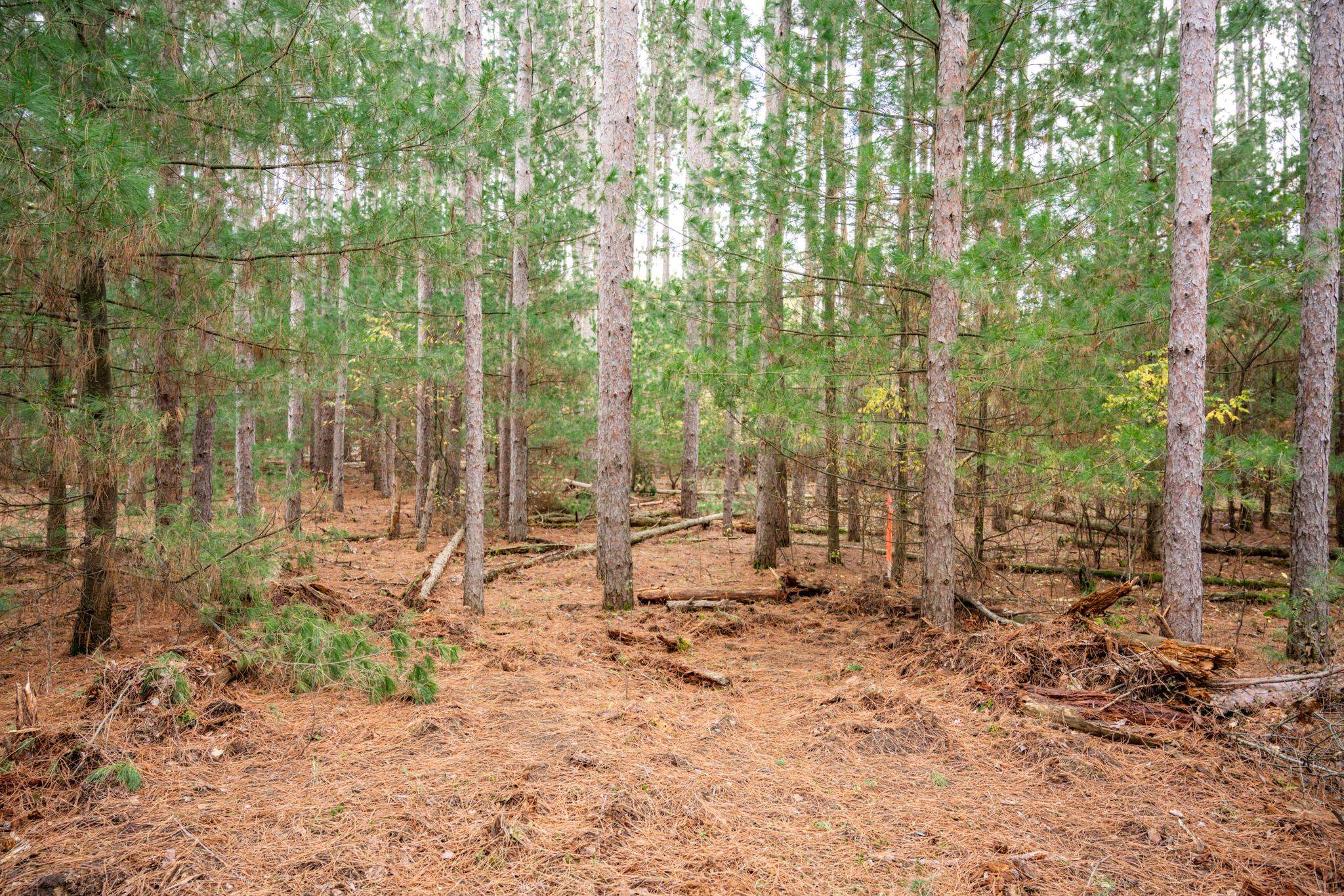 Lot 87 20th Arkdale, WI 54613 - Photo 18 of 25