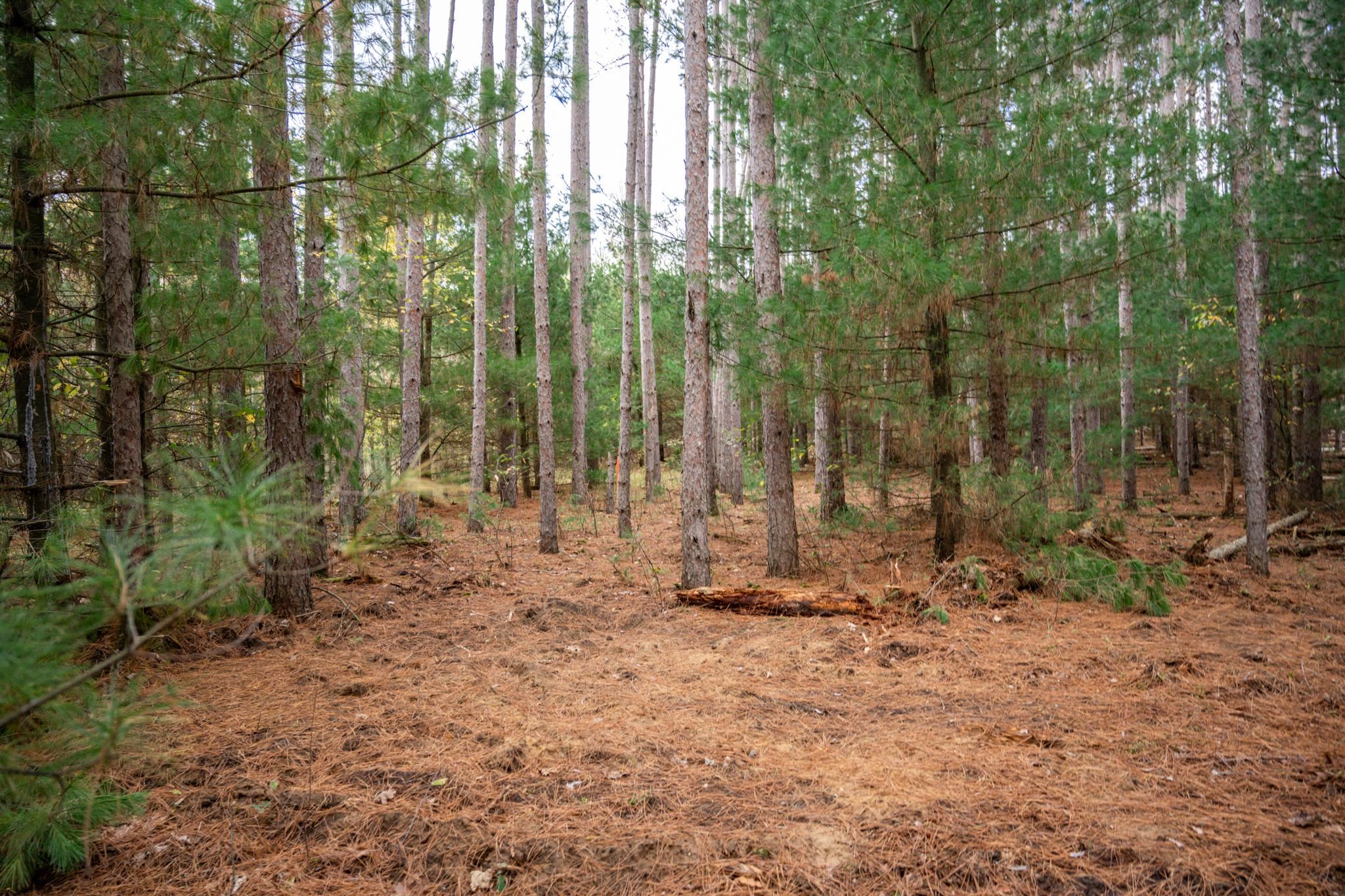 Lot 87 20th Arkdale, WI 54613 - Photo 20 of 25