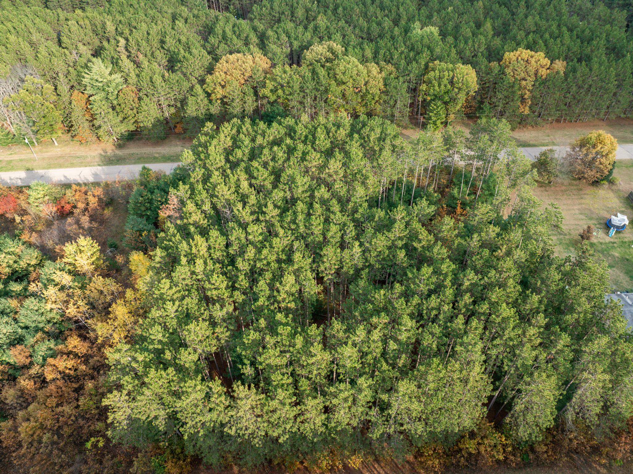 Lot 87 20th Arkdale, WI 54613 - Photo 22 of 25