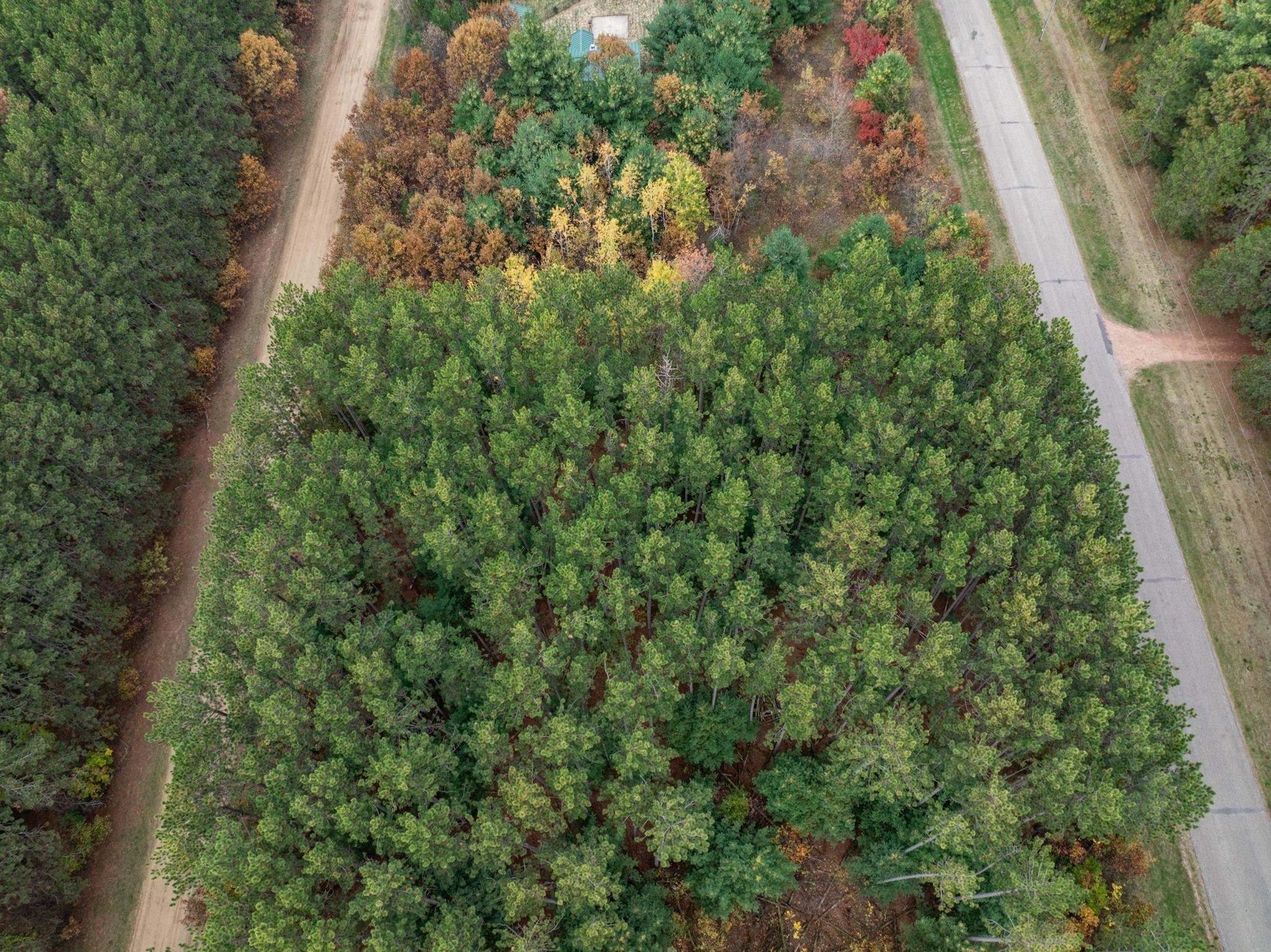 Lot 87 20th Arkdale, WI 54613 - Photo 23 of 25