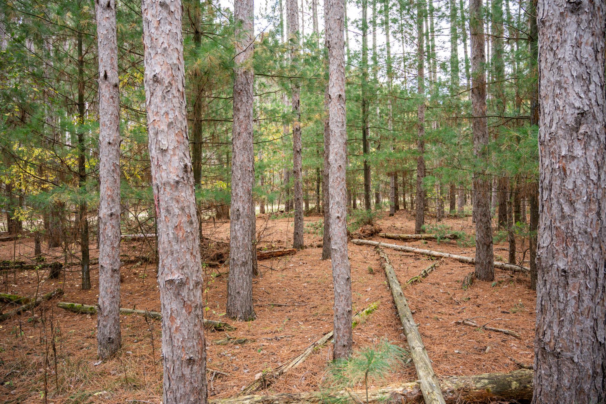 Lot 87 20th Arkdale, WI 54613 - Photo 8 of 25